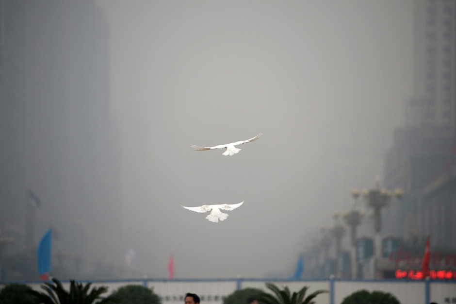 2014年10月8日,河北石家庄。